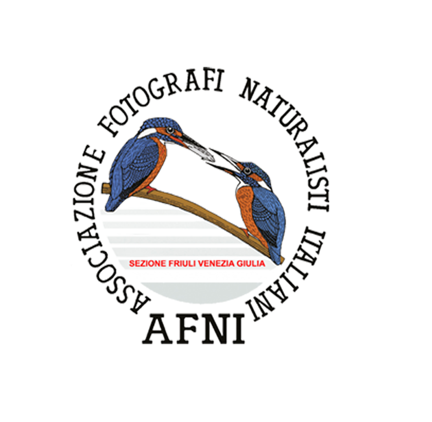 Collaborazione per un progetto di conservazione
