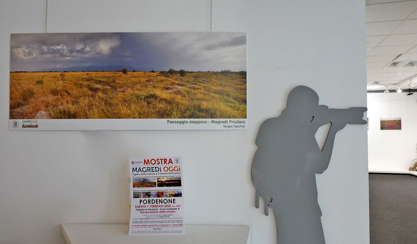 Parete di mostra con stampe naturalistiche