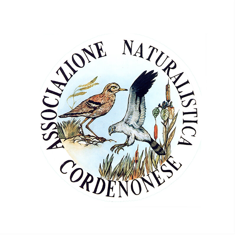 Collaborazione per un progetto di conservazione